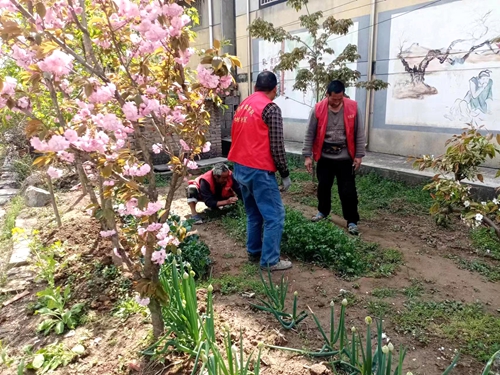 郯城县归昌乡：禁种铲毒在行动 宣传踏查守净土