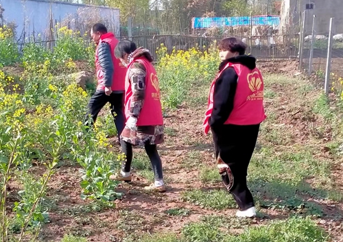 微信图片_20250407101704.jpg